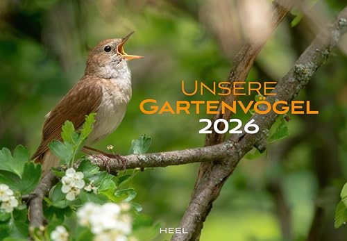 Unsere Gartenvögel Kalender 2026: Farbenprächtige Bilder unserer heimischen Vogelvielfalt. Wandkalender Vögel von Heel