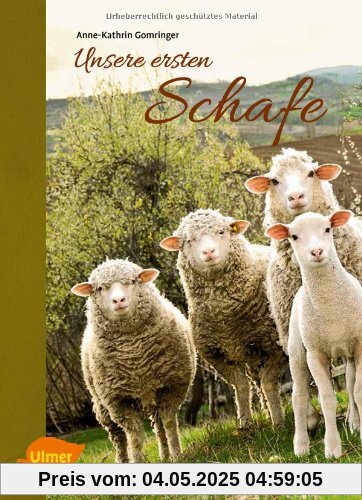Unsere ersten Schafe