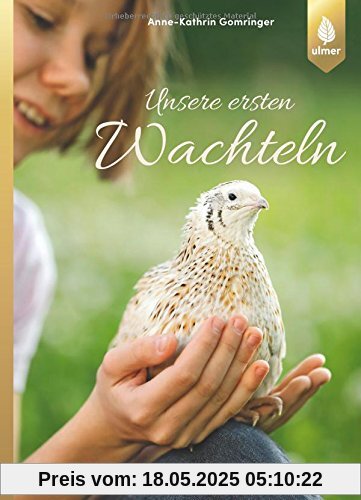 Unsere ersten Wachteln