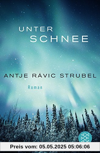 Unter Schnee: Roman