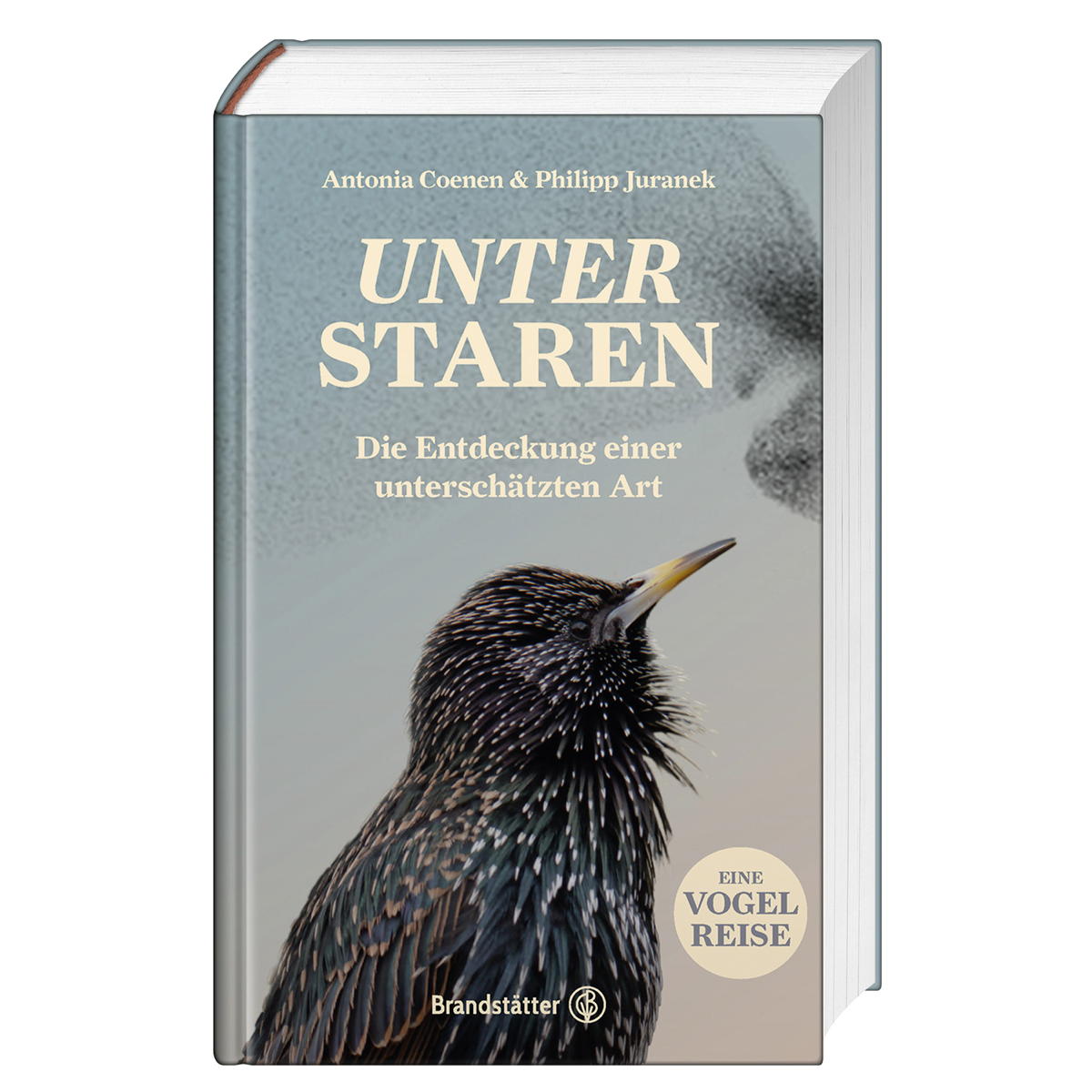 Unter Staren Unter Staren von Brandstätter Verlag