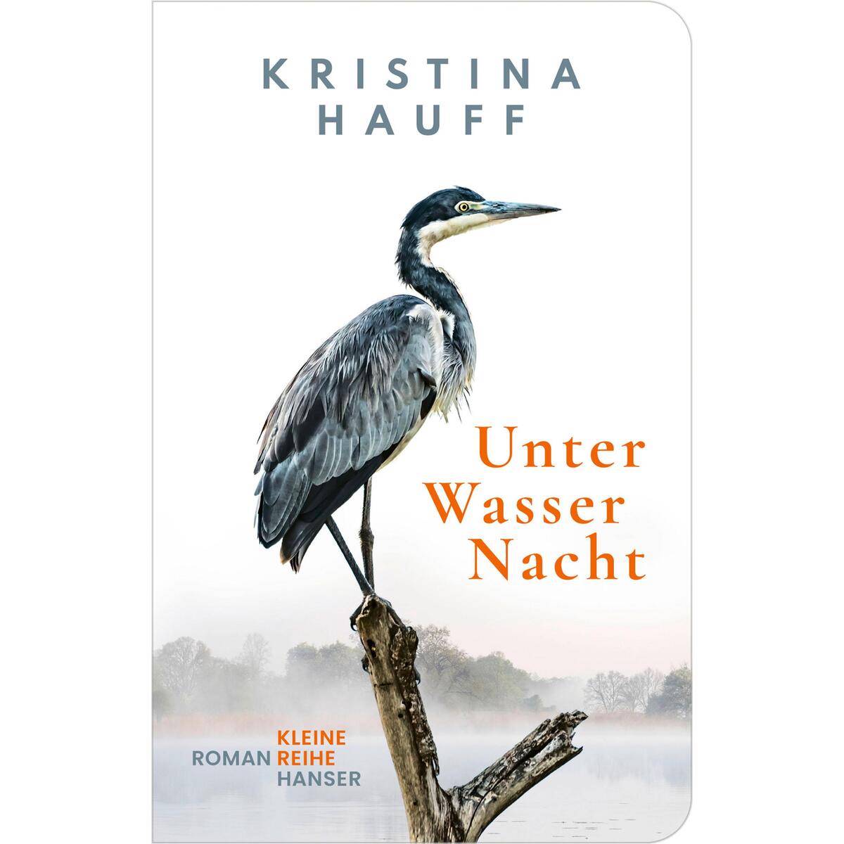 Unter Wasser Nacht von hanserblau