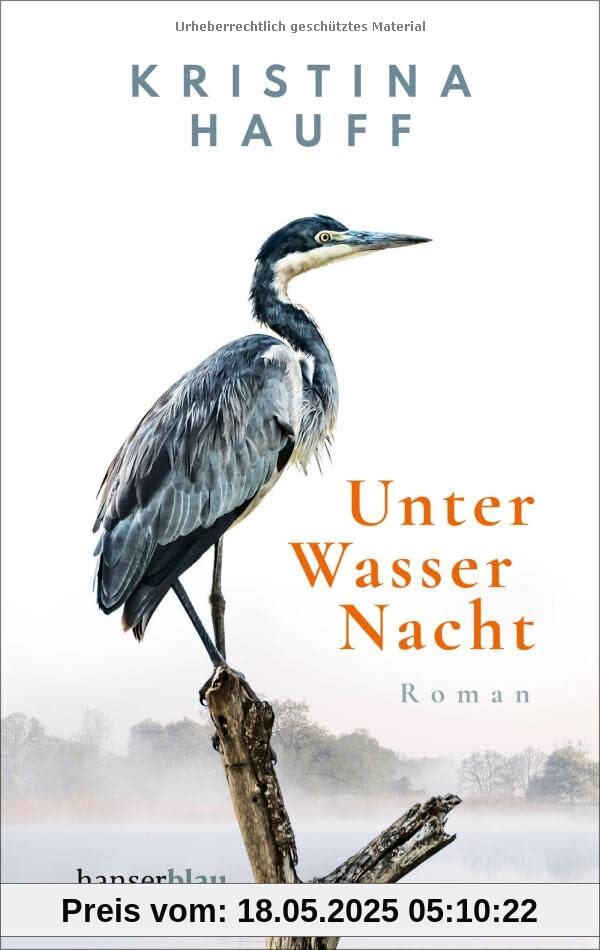 Unter Wasser Nacht: Roman