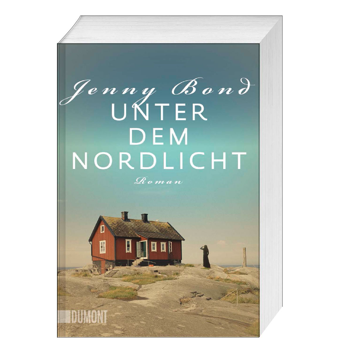 Unter dem Nordlicht von Dumont