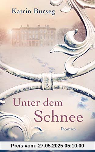 Unter dem Schnee: Roman