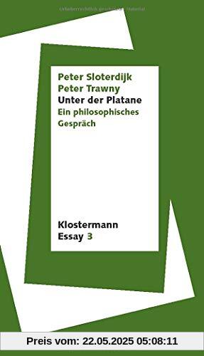 Unter der Platane: Ein philosophisches Gespräch (Klostermann Essay)