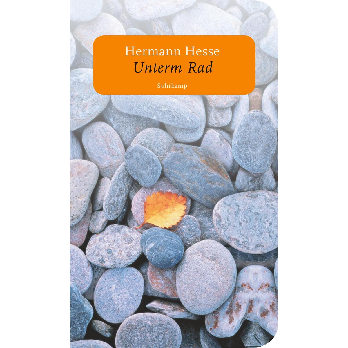 Unterm Rad von Suhrkamp Verlag