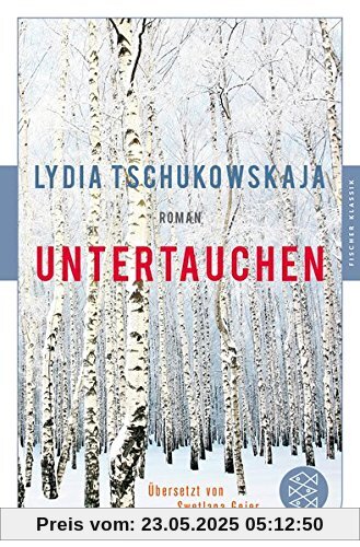Untertauchen: Roman
