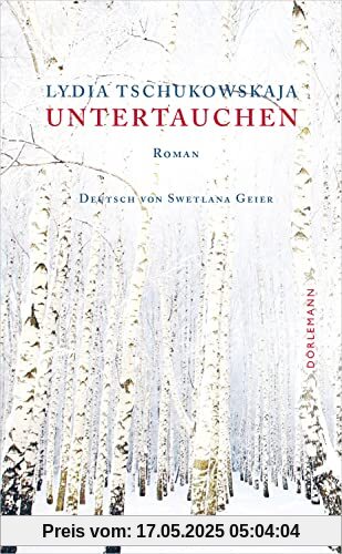 Untertauchen: Roman Untertauchen: Roman