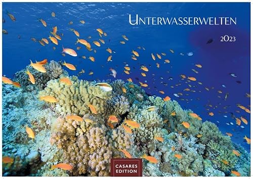 Unterwasserwelten 2023 S 24x35cm von Casares Fine Art Edition