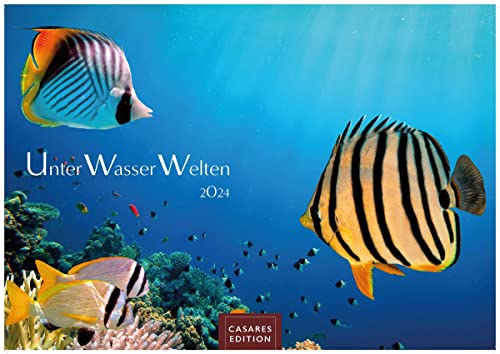 Unterwasserwelten 2024 S 24x35cm von CASARES EDITION