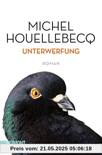 Unterwerfung: Roman (Taschenbücher)