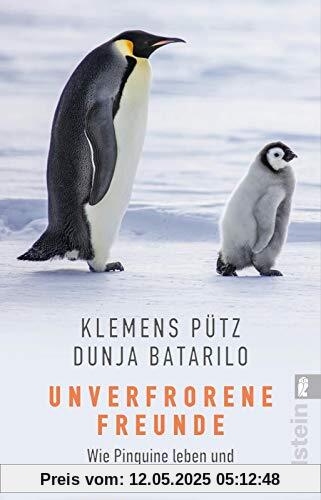 Unverfrorene Freunde: Wie Pinguine leben und warum sie gefährdet sind