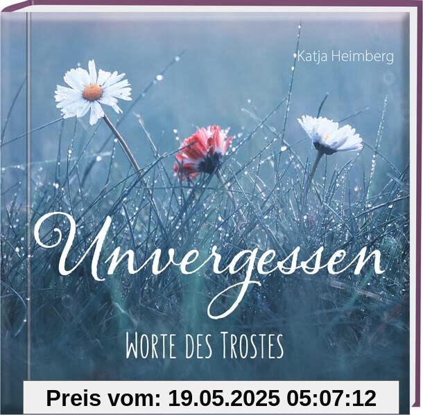 Unvergessen: Worte des Trostes