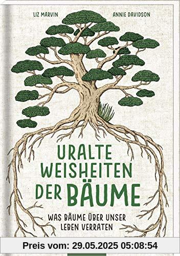 Uralte Weisheiten der Bäume: Was Bäume über unser Leben verraten