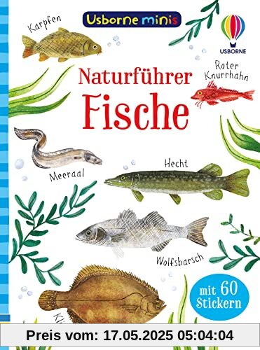 Usborne Minis Naturführer: Fische: mit 60 Stickern (Usborne-Minis-Reihe)