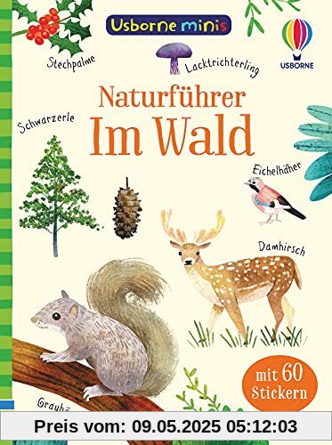 Usborne Minis Naturführer: Im Wald