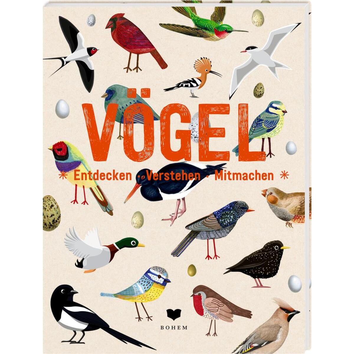 VÖGEL von Bohem Press Ag