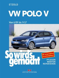 VW Polo ab 6/09 von Delius Klasing