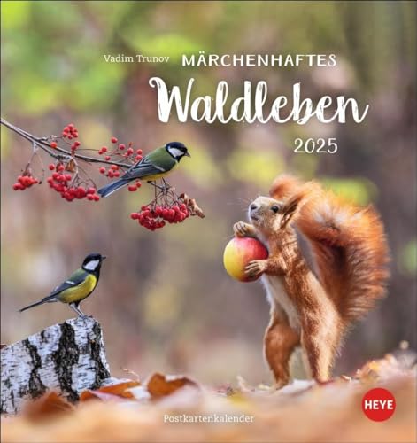Vadim Trunov: Märchenhaftes Waldleben Postkartenkalender 2025: Der Tierfotograf fängt den Zauber der Waldtiere in seinen atemberaubenden Bildern ein. Süßer Tierkalender 2025. (Postkartenkalender Heye) von Heye