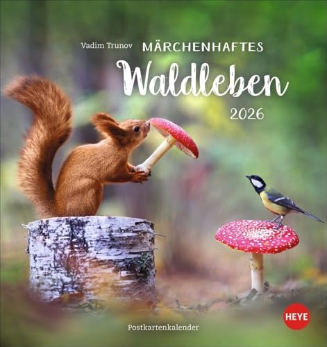 Vadim Trunov: Märchenhaftes Waldleben Postkartenkalender 2026: Der Tierfotograf fängt den Zauber der Waldtiere in seinen atemberaubenden Bildern ein. Süßer Tierkalender 2026. (Postkartenkalender Heye) von Heye