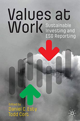 Values at Work: Sustainable Investing and ESG Reporting von MACMILLAN