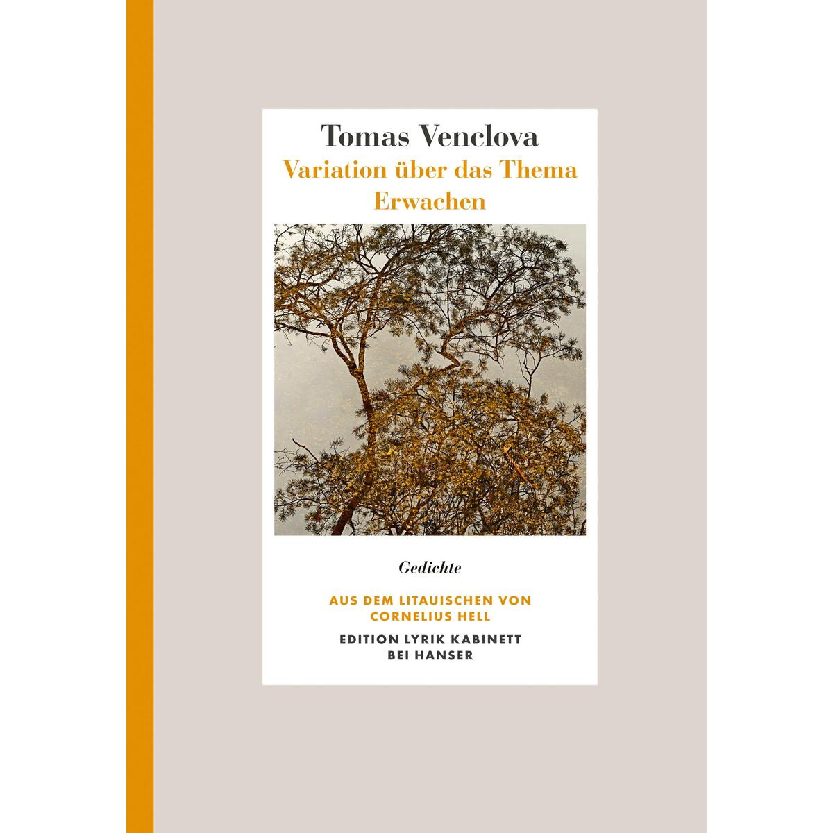 Variation über das Thema Erwachen von Carl Hanser Verlag