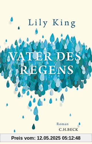 Vater des Regens: Roman