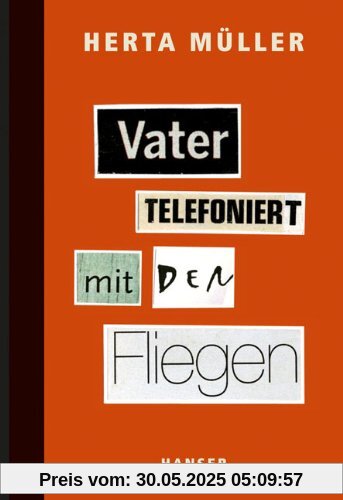 Vater telefoniert mit den Fliegen Vater telefoniert mit den Fliegen