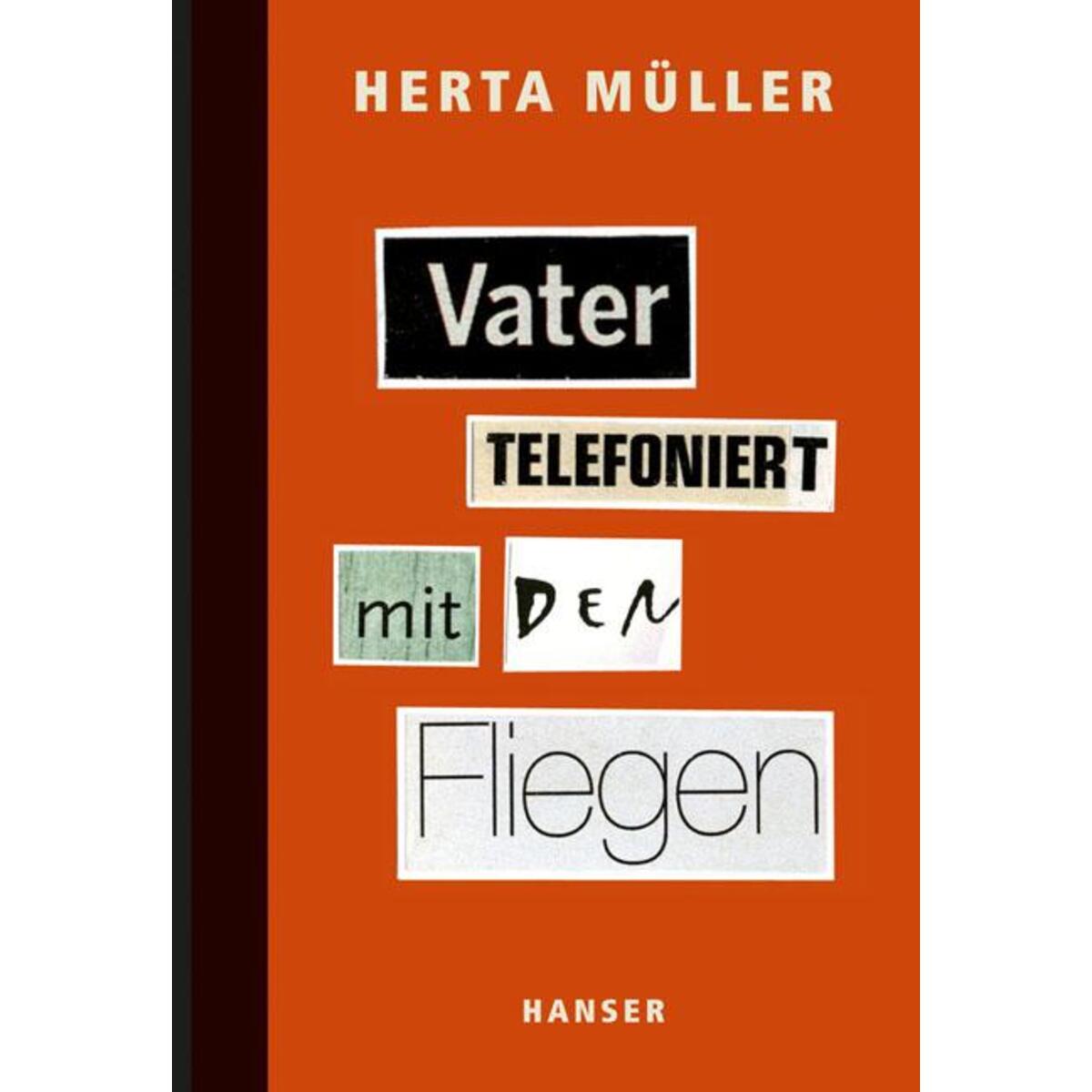 Vater telefoniert mit den Fliegen von Carl Hanser Verlag