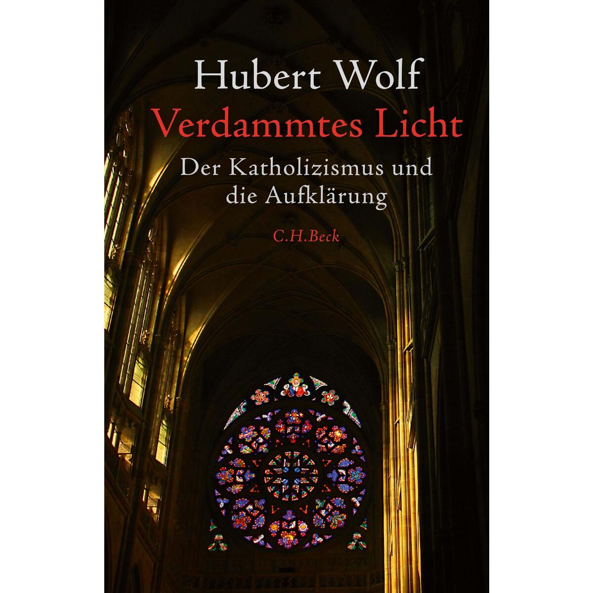 Verdammtes Licht Verdammtes Licht von C.H. Beck