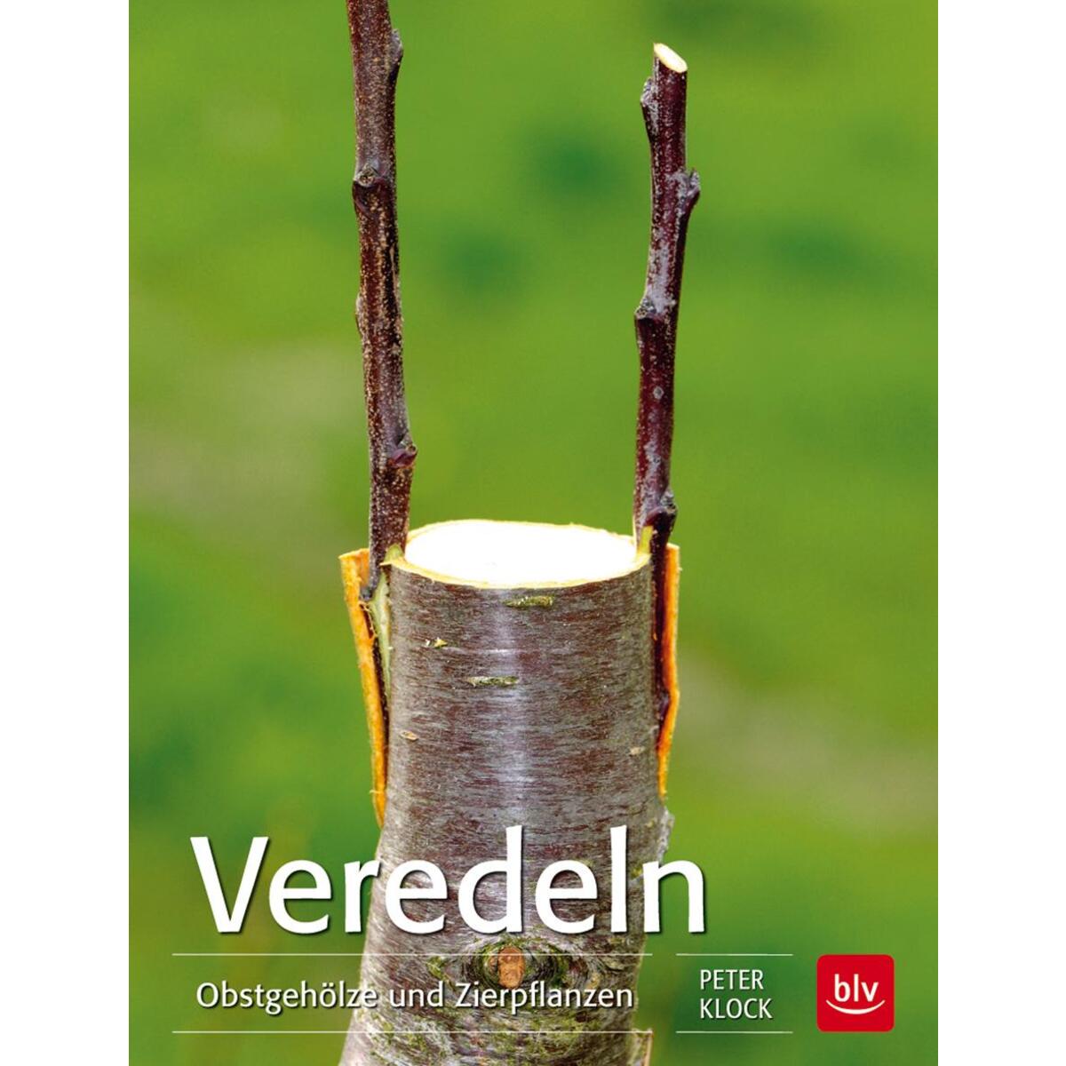 Veredeln von Blv