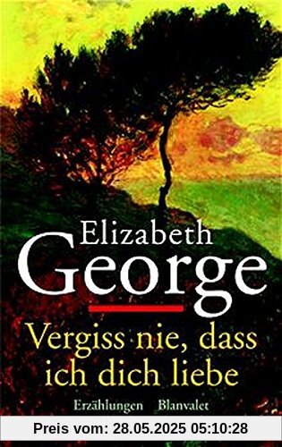 Vergiss nie, dass ich dich liebe: Erzählungen Vergiss nie, dass ich dich liebe: Erzählungen