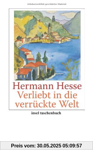 Verliebt in die verrückte Welt: Betrachtungen, Gedichte, Erzählungen, Briefe (insel taschenbuch)