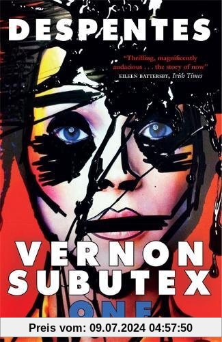 Vernon Subutex 1: English edition (MacLehose Press Editions, Band 4)