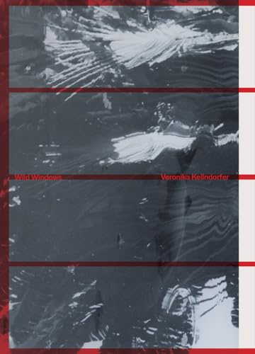 Veronika Kellndorfer: Wild Windows Veronika Kellndorfer: Wild Windows von Spector Books