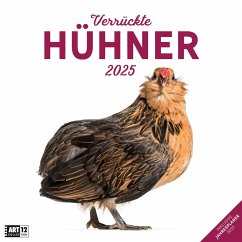 Verrückte Hühner Kalender 2025 - 30x30 von Ackermann Kunstverlag
