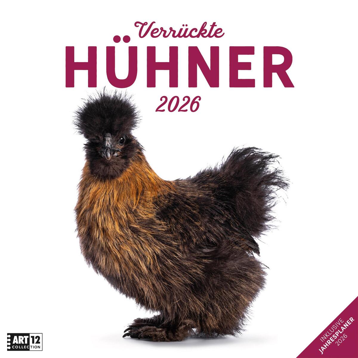 Verrückte Hühner Kalender 2026 - 30x30 Verrückte Hühner Kalender 2026 - 30x30 von Ackermann Kunstverlag