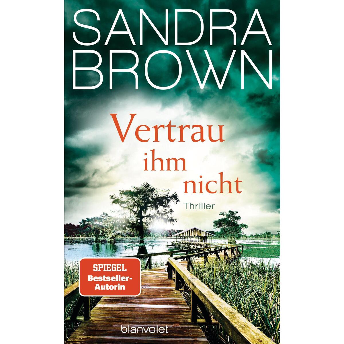 Vertrau ihm nicht von Blanvalet Verlag