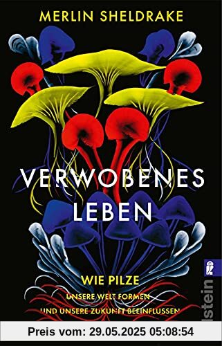 Verwobenes Leben: Wie Pilze unsere Welt formen und unsere Zukunft beeinflussen