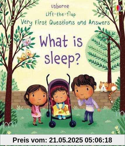 Very First Lift-the-Flap Questions & Answers What is Sleep? (Lift the Flap Very First Questions & Answers)