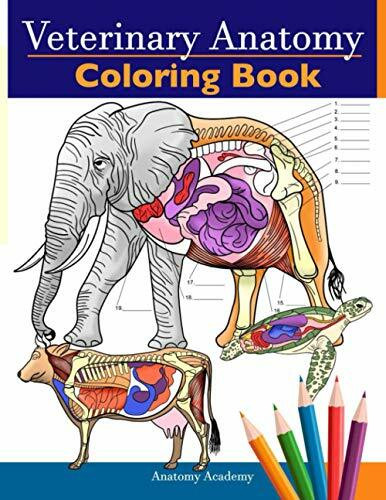 Veterinary Anatomy Coloring Book: Animals Physiology Self-Quiz Color Workbook for Studying and... Veterinary Anatomy Coloring Book: Animals Physiology Self-Quiz Color Workbook for Studying and...