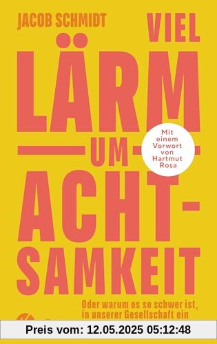 Viel Lärm um Achtsamkeit: Oder warum es so schwer ist, in unserer Gesellschaft ein gutes Leben zu führen. Mit einem Vorwort von Hartmut Rosa