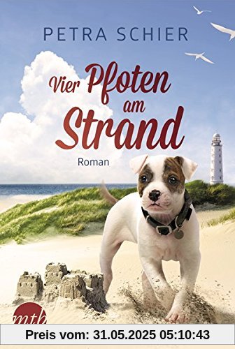 Vier Pfoten am Strand