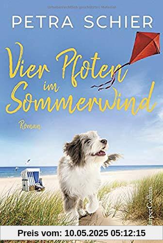 Vier Pfoten im Sommerwind (Lichterhaven, Band 5)