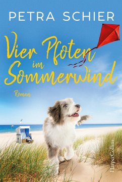 Vier Pfoten im Sommerwind / Lichterhaven Bd.5 von HarperCollins Hamburg