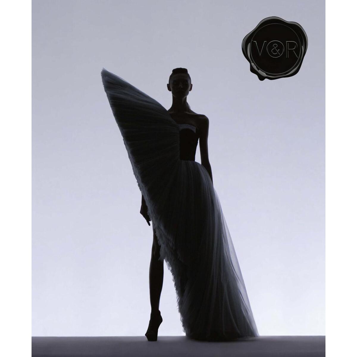 Viktor&Rolf - Fashion Statements Viktor&Rolf - Fashion Statements von Hirmer Verlag GmbH