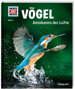 Vögel / Was ist was Bd.40 von Tessloff / Tessloff Verlag Ragnar Tessloff GmbH & Co. KG