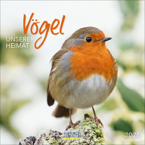 Vögel 2026 von Korsch Verlag