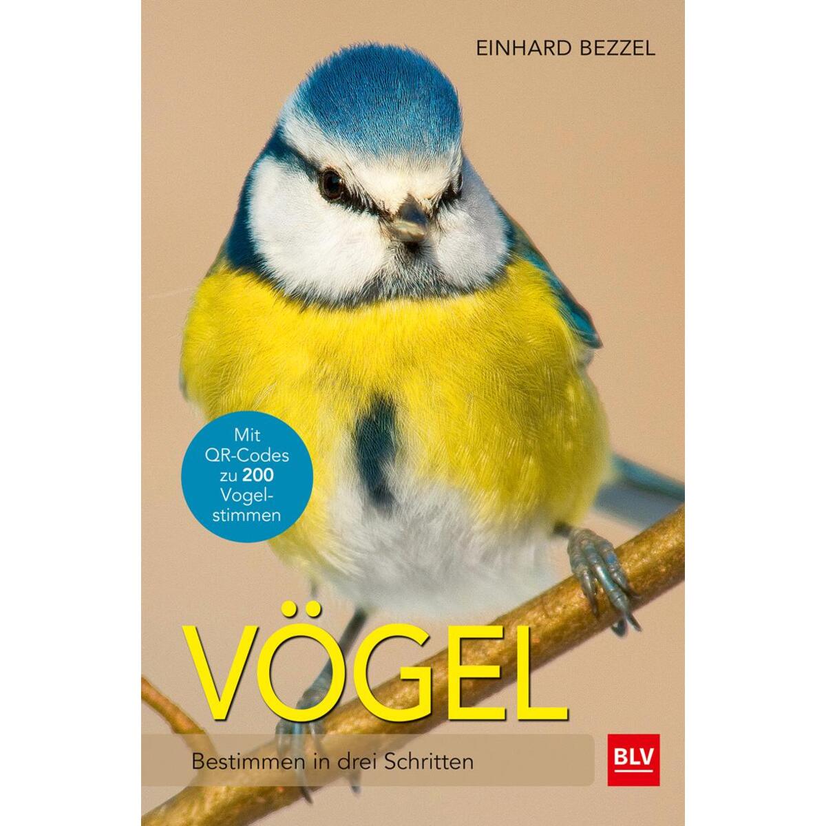Vögel von Blv